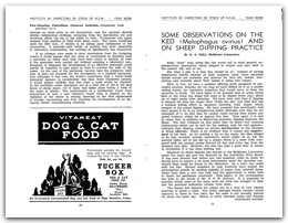1940 page 38 39